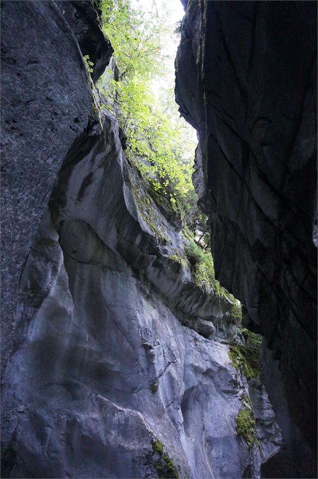 Gorges des Tines - © Laurent Vriez