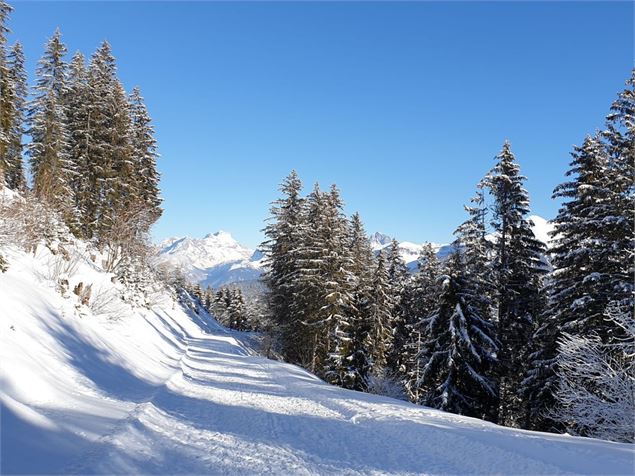 Chemin de l'Aiguille - Monique Borel