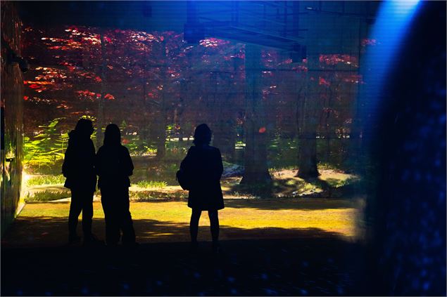 Au pied de la terrasse de Varet, n'oubliez pas d'aller voir les Fresques Lumineuses, un spectacle so