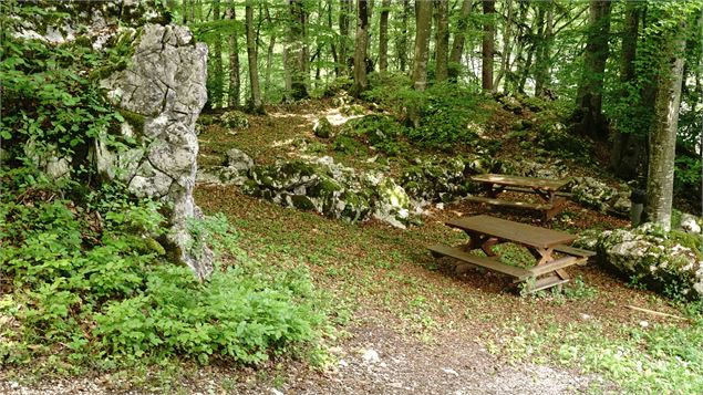 Les Gorges du Pont du Diable - Y. Teyssedre/OT Vallée d'Aulps