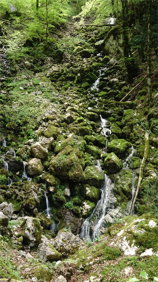 Les Gorges du Pont du Diable - Y. Teyssedre/OT Vallée d'Aulps