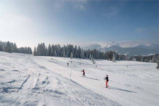 vue sur la domaine - Ot Les Gets