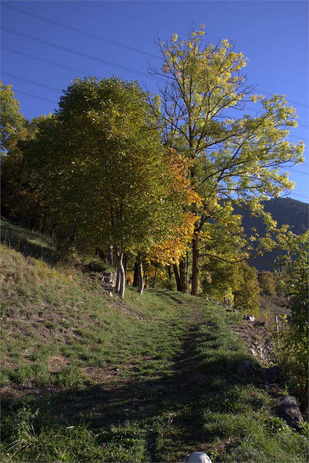 Paysage - Les Arcs