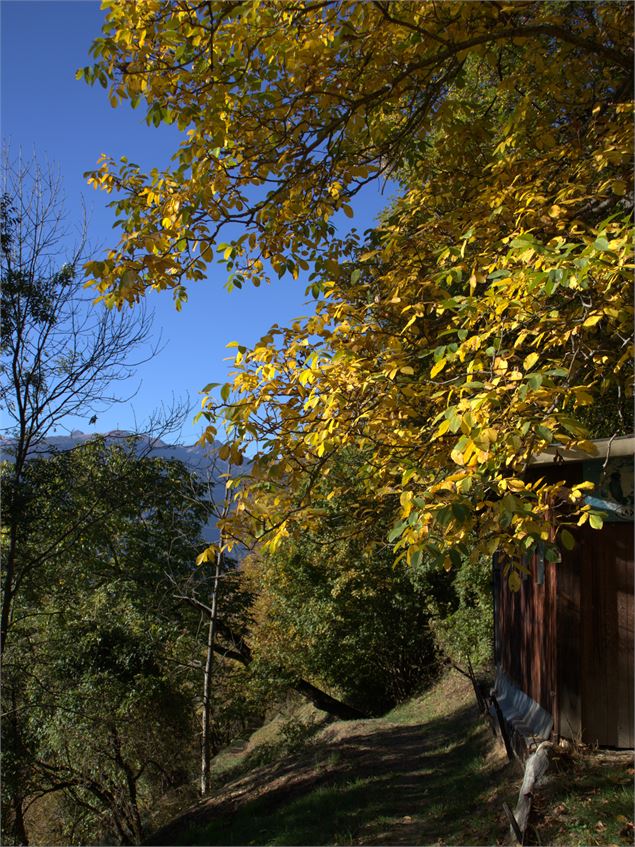 Le chemin - Les Arcs