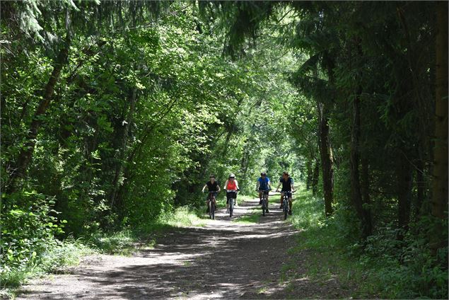 promenade en VTT - Wendy Coulon