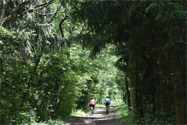 promenade en VTT - Wendy Coulon