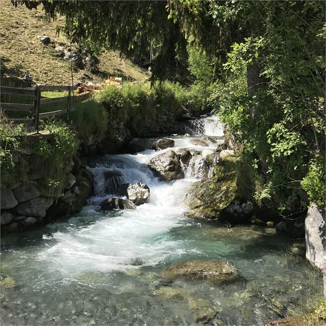 Chemin du Vaz - La Rosière Tourisme