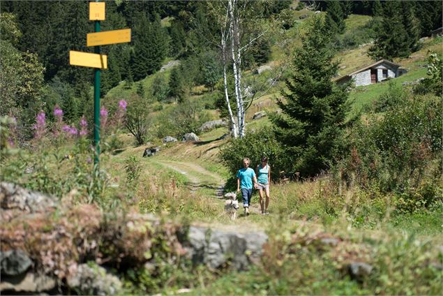 Le Chemin des Bûcherons - la rosiere