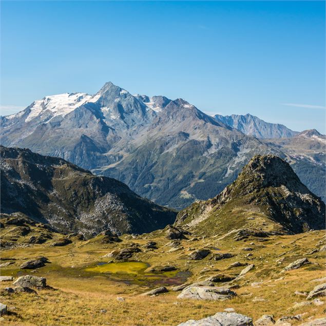 Circuit de la Louie Blanche - La Rosière Tourisme