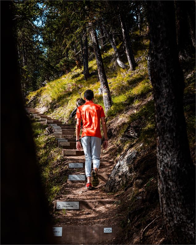 La photo montre un randonneur sur le sentier des 1000 marches. Sur chaque marche se situe une inscri