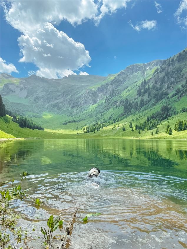 Lac de gers - baignade du toutou - OT Samoens - mathilda Manzi