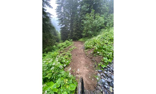 Itinéraire VTT de Bonavau - Gaëtan Rey