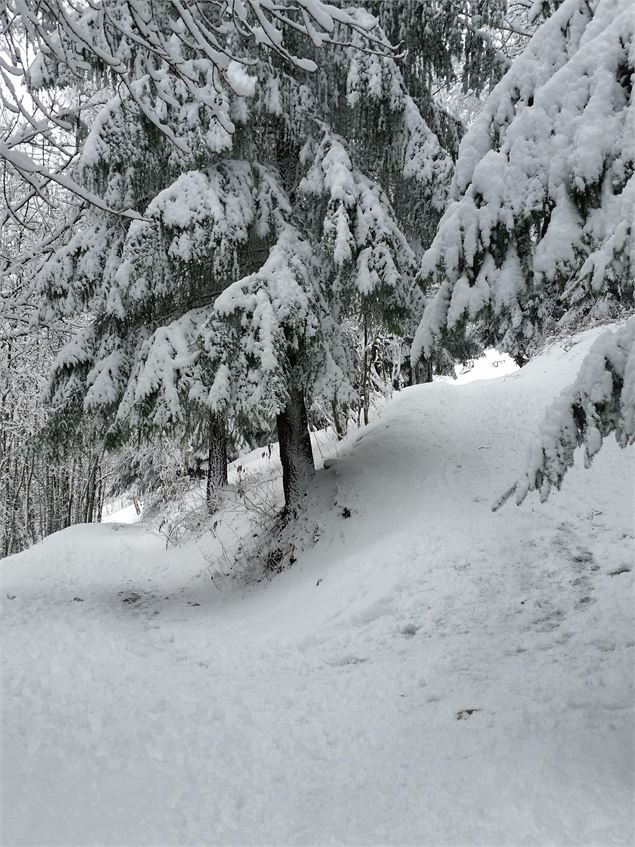 Itinéraire sous bois - OTMLP