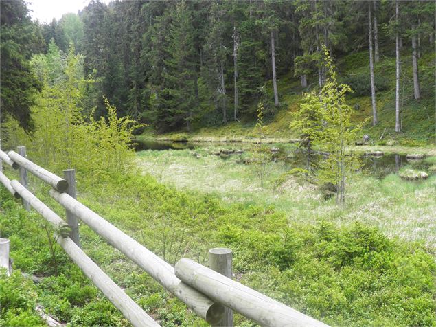 Tourbière du Lac Noir - OTMLP