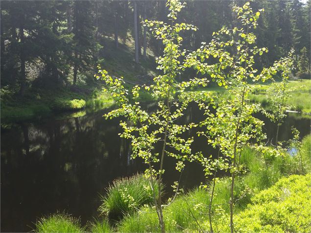 Tourbière du Lac Noir - OTMLP