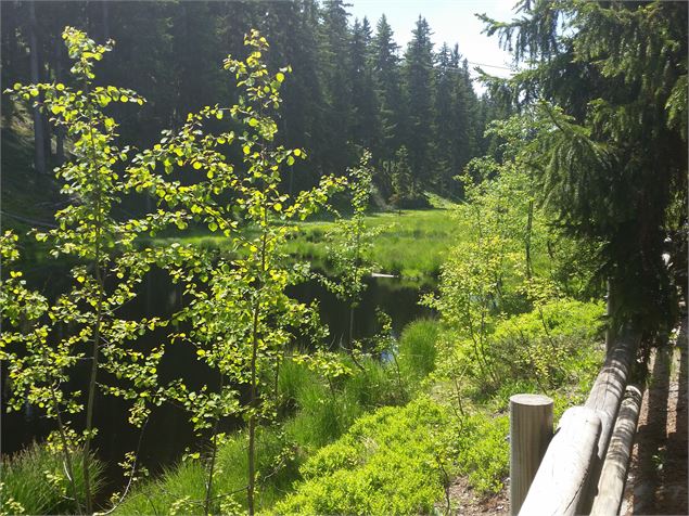 Tourbière du Lac Noir - OTMLP