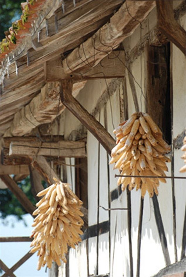 Ferme du Sougey à Montrevel-en-Bresse - eductour-fermedusougey©OTBBA (23)