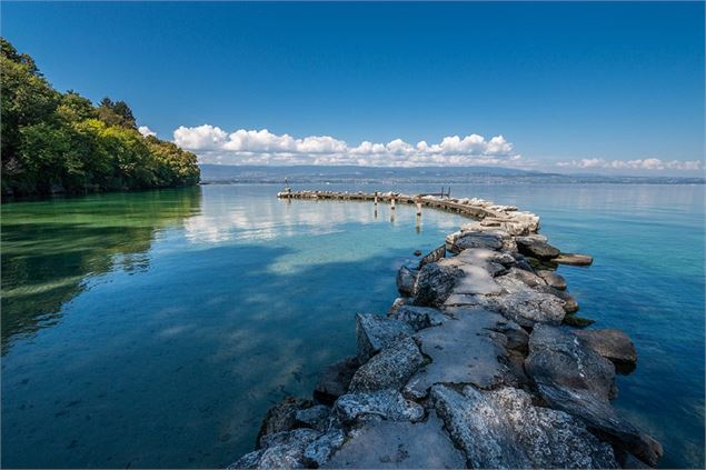 Petit port - Destination Léman - A. Berger