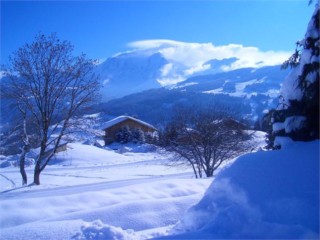 Piste de ski de fond verte - OTCombloux