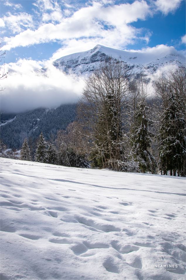 Vue sur le Mont Joly depuis une clairière enneigée - Les Contamines Tourisme