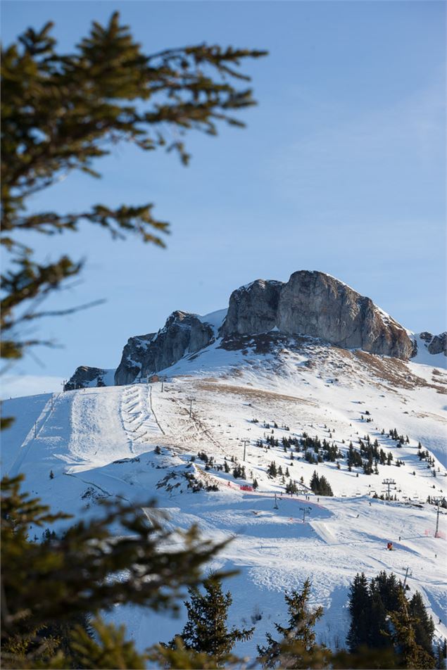 Vue sur les montagnes - LongIsland