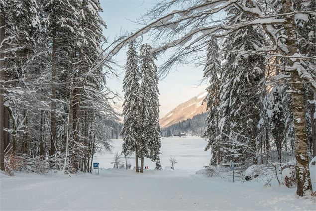 Départ de la piste, vue sur le Lac de Montriond - Yvan Tisseyre / OT Vallée d'Aulps