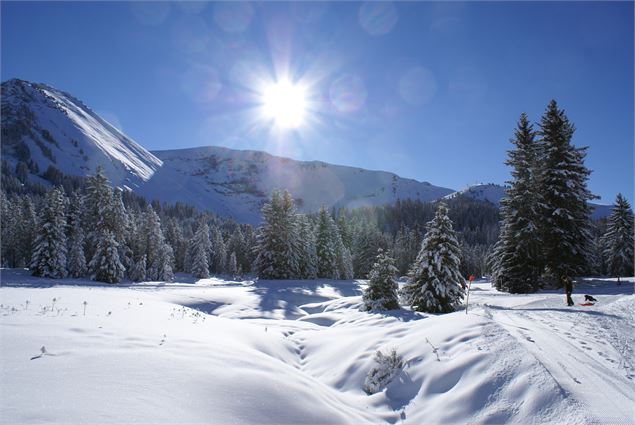 Boucle des sapins - Praz de Lys Sommand Tourisme