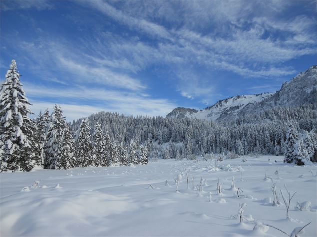 Boucle des Sapins - Praz de Lys Sommand Tourisme