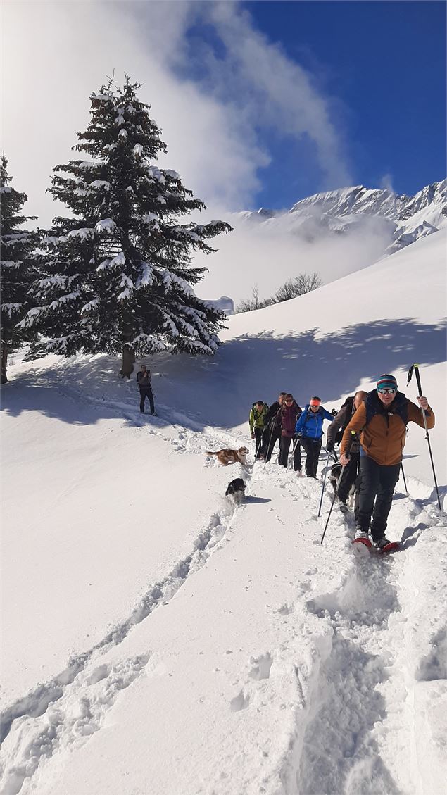 sentier raquettes : boucle des Combes