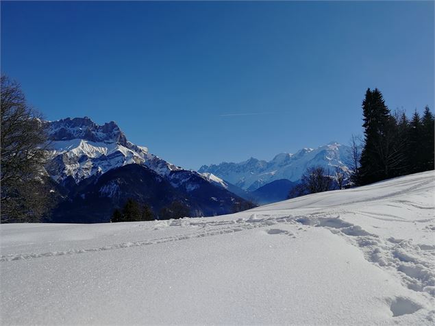 vue sur les Fiz et le Mont-Blanc - Emilie Perrin