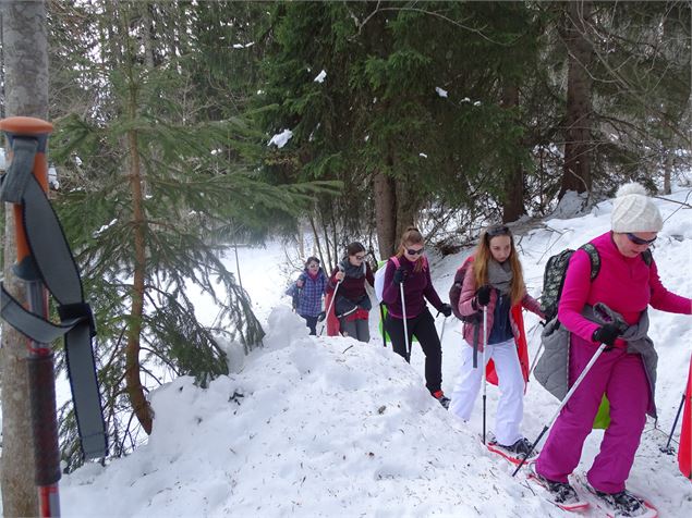 sentier raquettes : boucle du plateau de Mayères - Emilie Perrin