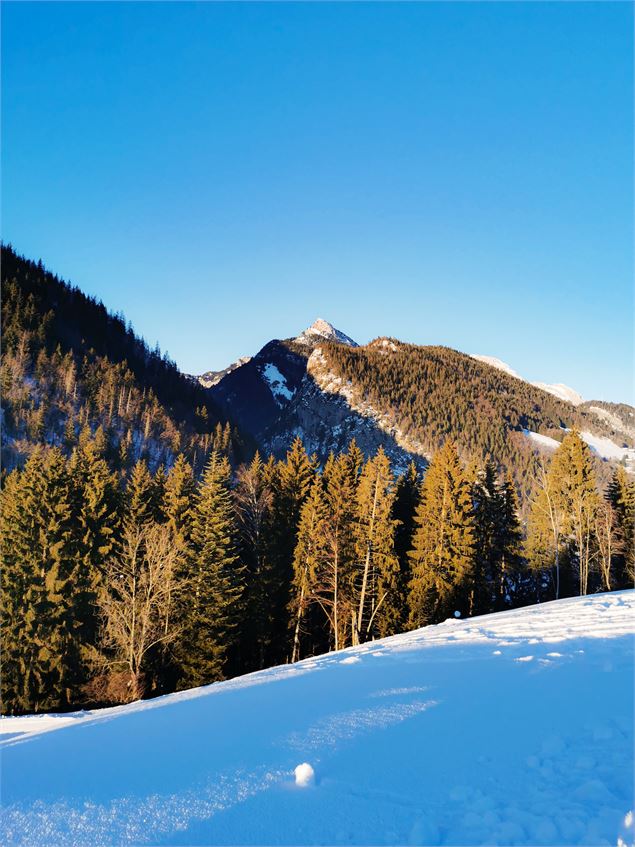 Le Roc des Tours depuis Forgeassoud - OT Saint Jean de Sixt