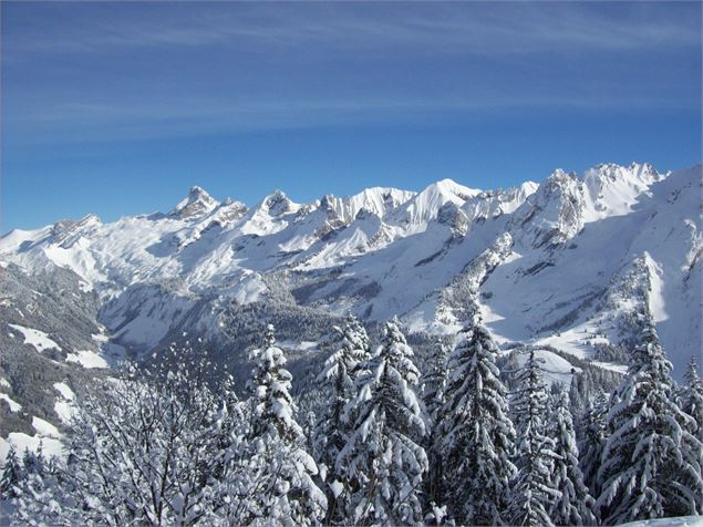 Chaine des Aravis depuis la tête du Danay - OT Saint Jean de Sixt