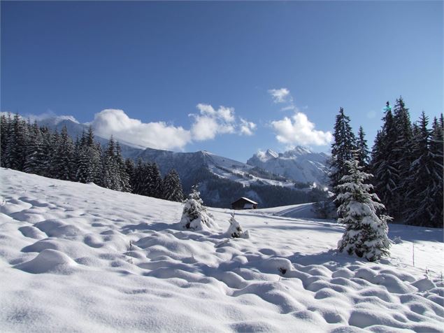 Le col des Mouilles - OT Saint Jean de Sixt