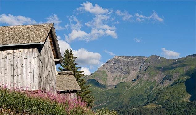 Vue sur les Hauts-Forts - Sam Ingles