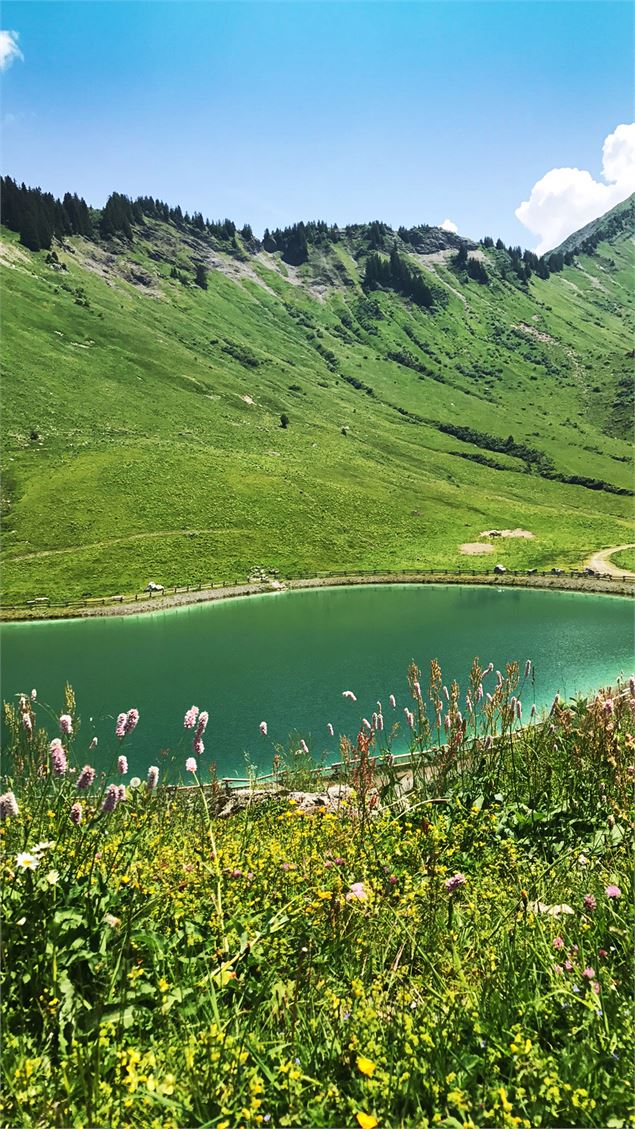 Lac de Nyon-Guérin - Oliver Godbold