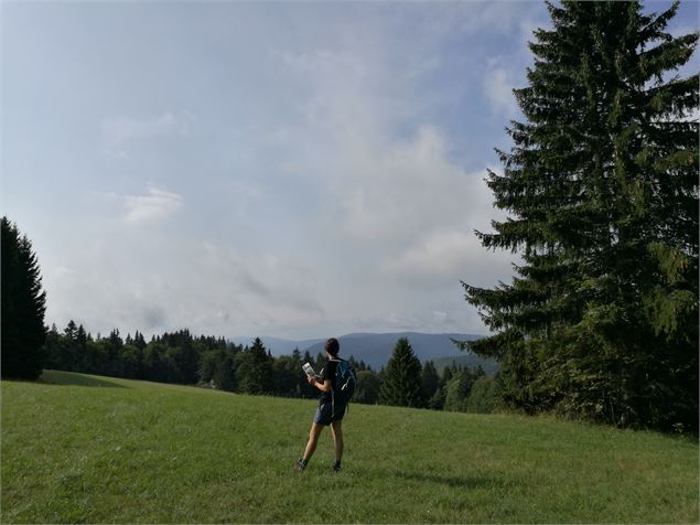 Vue de depuis les 5 chalets - @Daniel Gillet