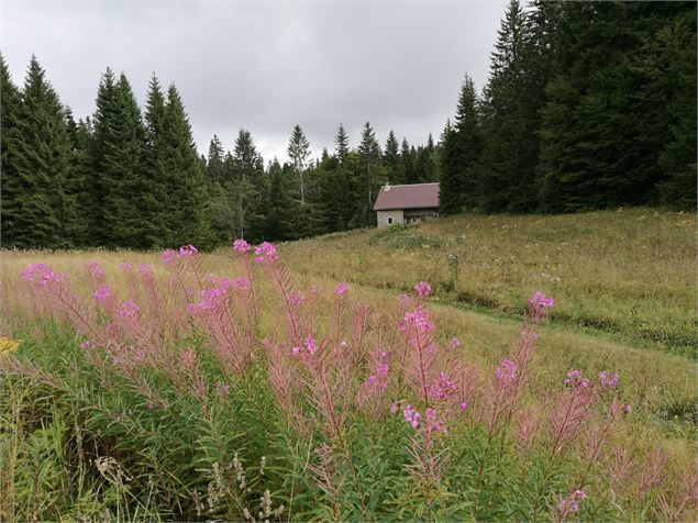 chalet Cotin - @Daniel Gillet