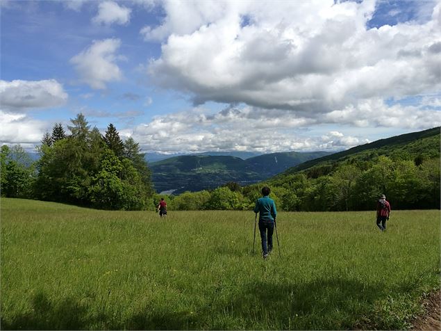 Le sentier des Charbonniers - @Daniel Gillet