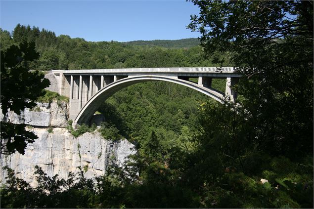 Le Pont des Pierres - Daniel Gillet