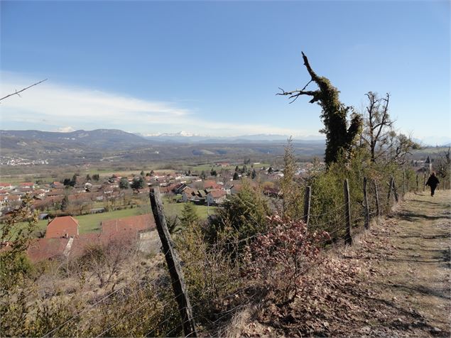 chemin des dames en direction de Vouvray - ©Daniel Gillet