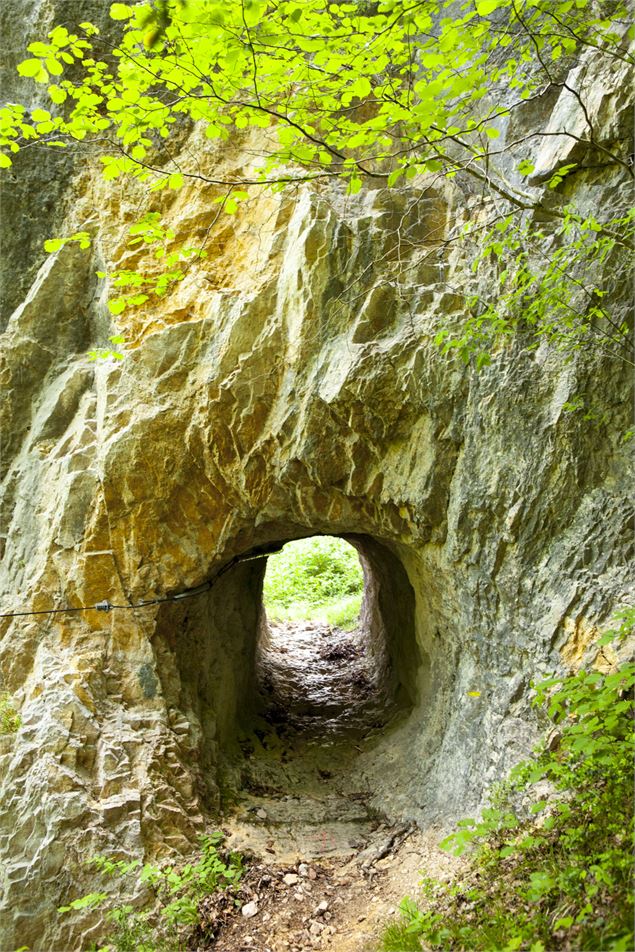 Le dragon sous Roche - ©Daniel Gillet - OT Terre Valserine