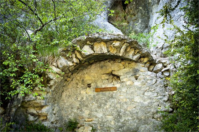 Le dragon sous Roche - ©Daniel Gillet - OT Terre Valserine