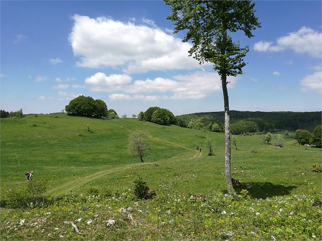 Retord sud : L'alpage - ©OT Terre Valserine