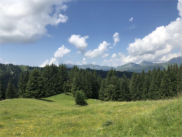 Lac de Nyon-Guérin - OT Morzine