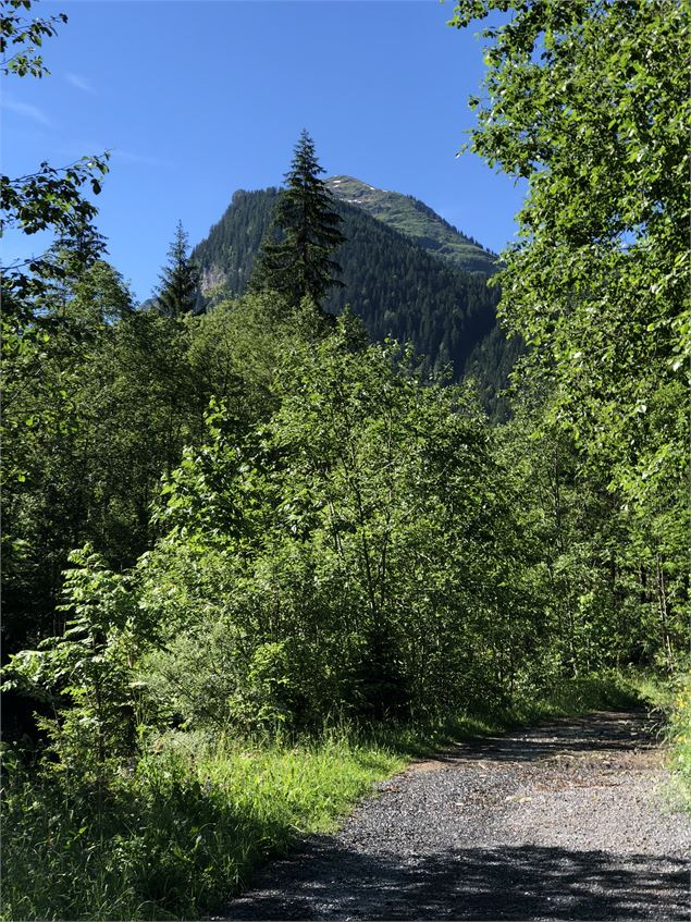 Le sentier du renard - OT Morzine