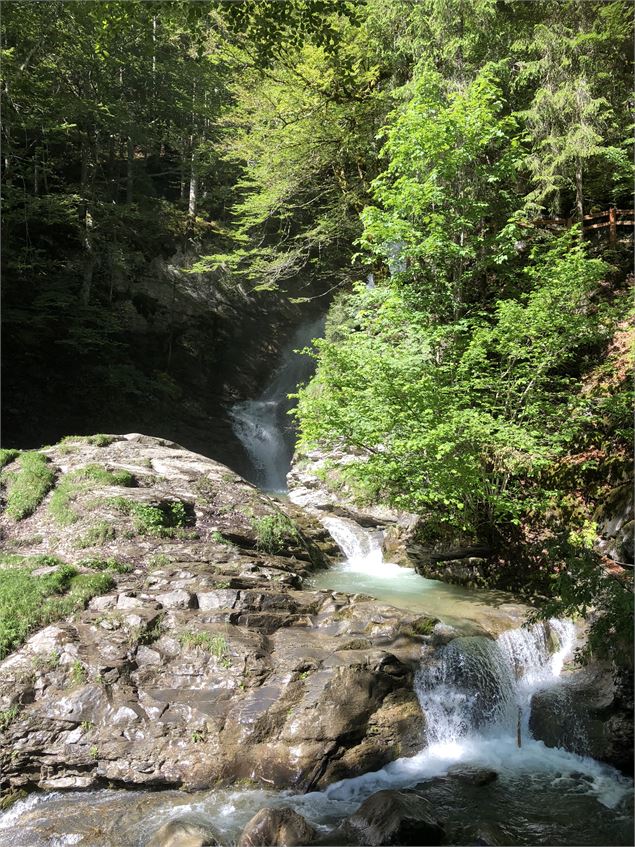 Le sentier du renard - OT Morzine