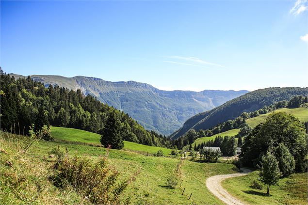 Crêt de Chalam - Borne au Lion - ©Mathias Spadiliero - OT Terre Valserine