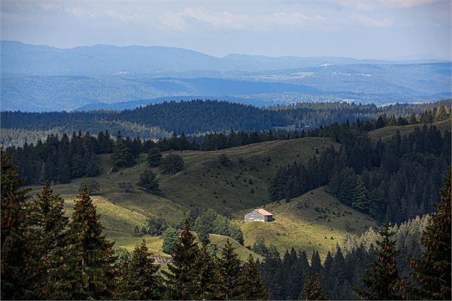 Crêt de Chalam - Borne au Lion - ©Mathias Spadiliero - OT Terre Valserine