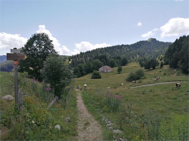 Borne au lion - OT Terre Valserine